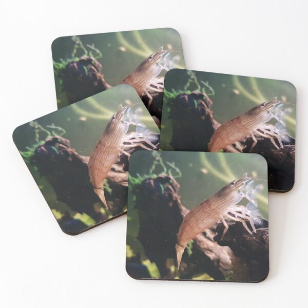 Item preview, Bamboo Shrimp designed and sold by redbirdswim.