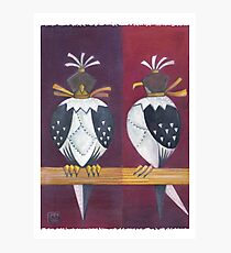 Falconry Photographic Print