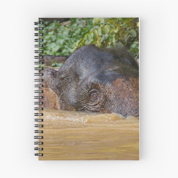 Item preview, Borneo Pygmy Elephant designed and sold by Photos by Phil.