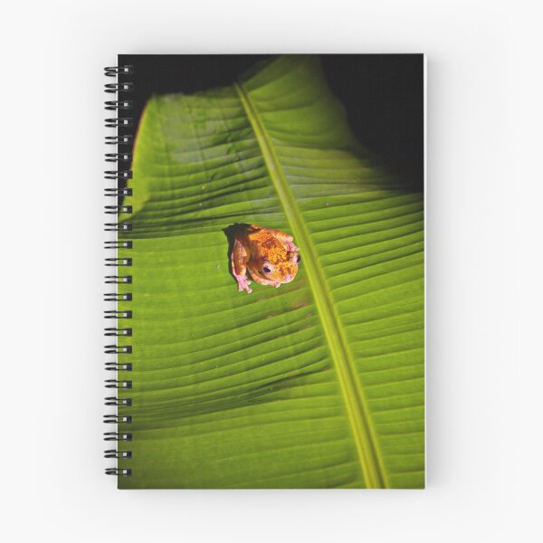 Item preview, Tree Frog in Borneo Rainforest designed and sold by Photos by Phil.