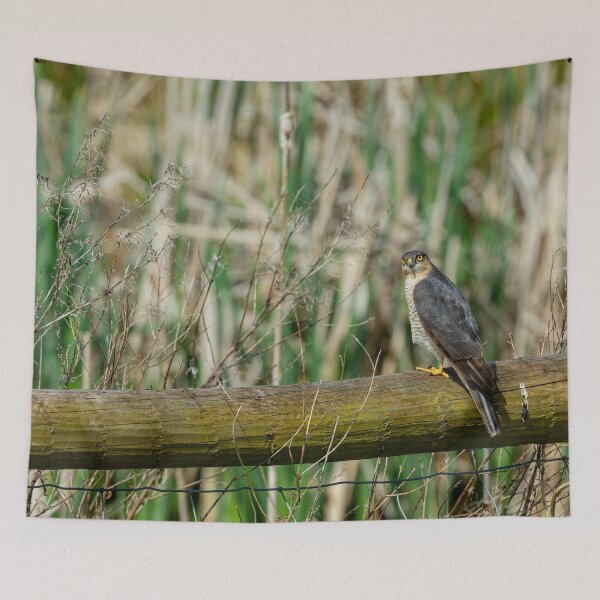 Item preview, Sat on the fence again designed and sold by Dalyndigital Photography.