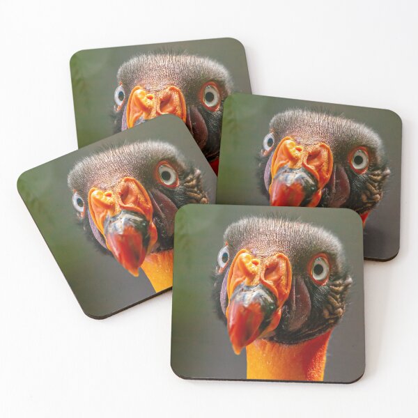 Item preview, King Vulture looking for dinner  designed and sold by Dalyndigital Photography.