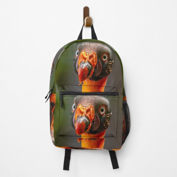 Item preview, King Vulture looking for dinner designed and sold by Dalyndigital Photography.