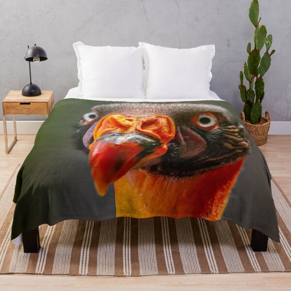 Item preview, King Vulture looking for dinner  designed and sold by Dalyndigital Photography.
