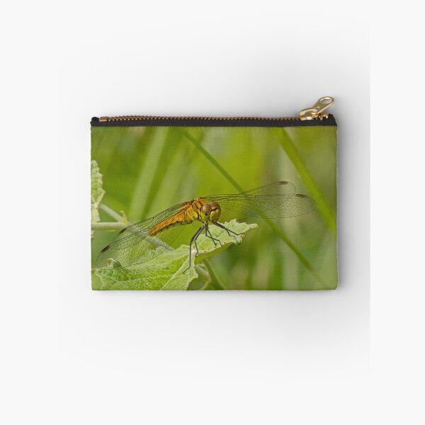 Item preview, Dardo rubicundo designed and sold by xophotography.
