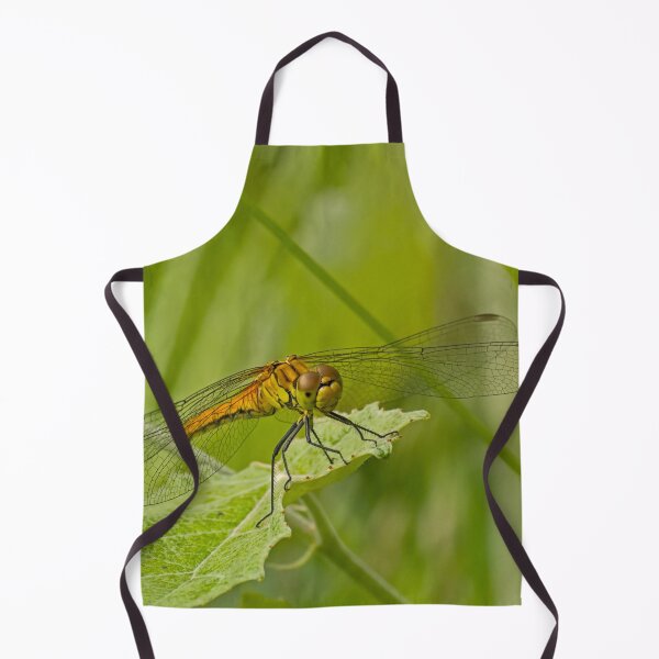 Item preview, Ruddy darter designed and sold by xophotography.