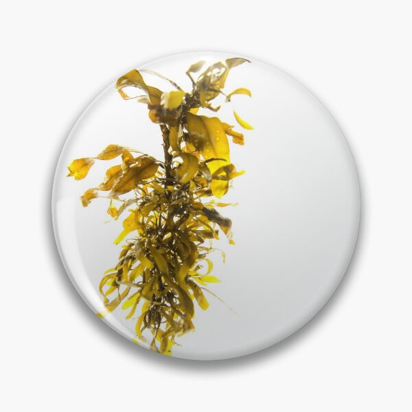 Item preview, Seaweed#6 designed and sold by dPhoto9.