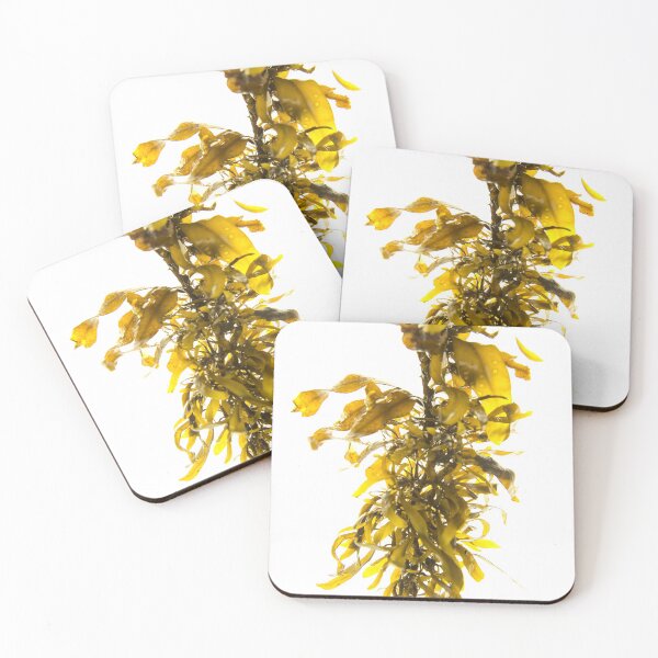 Item preview, Seaweed#6 designed and sold by dPhoto9.