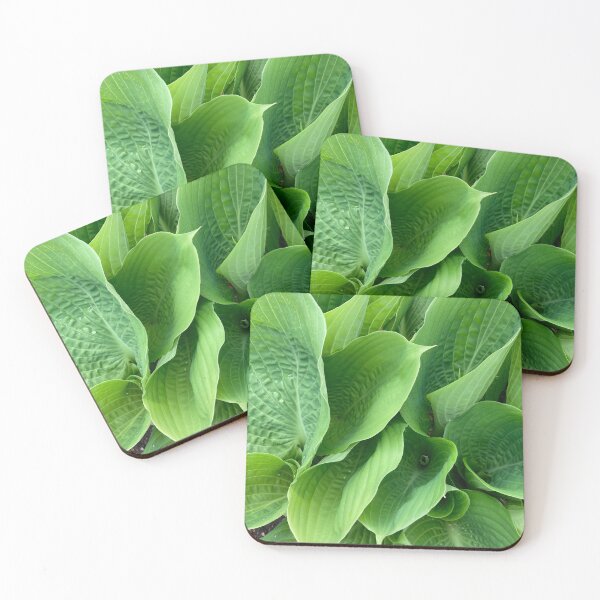 Item preview, Green hosta leaves designed and sold by JuliVogel.
