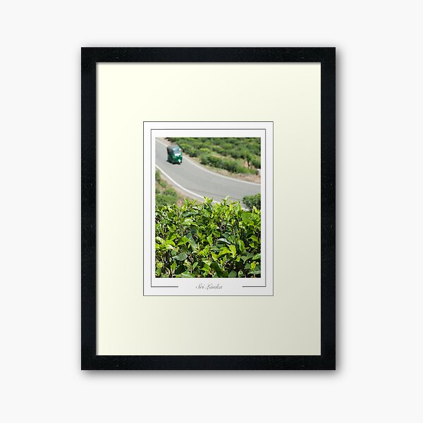 Sri Lanka Tea plantations in the neighbourhood of Ella Framed Art Print