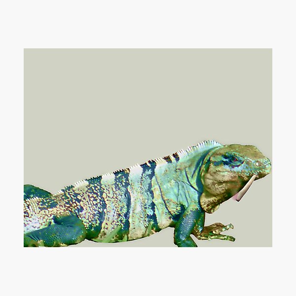 Item preview, Marijuana Iguana Lizard In Mexico designed and sold by Jermain Robinson.