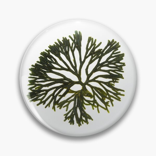 Item preview, Seaweed#7 designed and sold by dPhoto9.