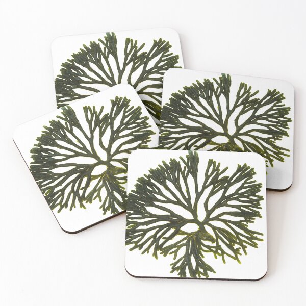 Item preview, Seaweed#7 designed and sold by dPhoto9.