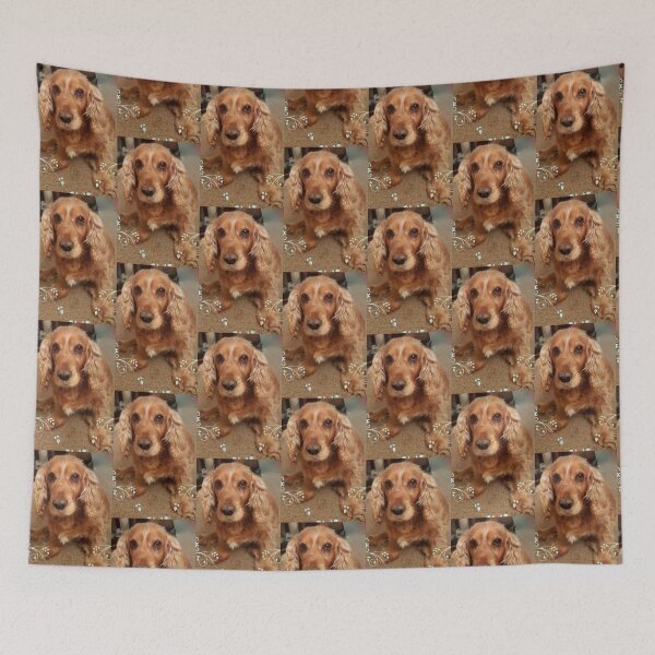 Item preview, The wise Cocker Spaniel  designed and sold by DonnaMolyneux.