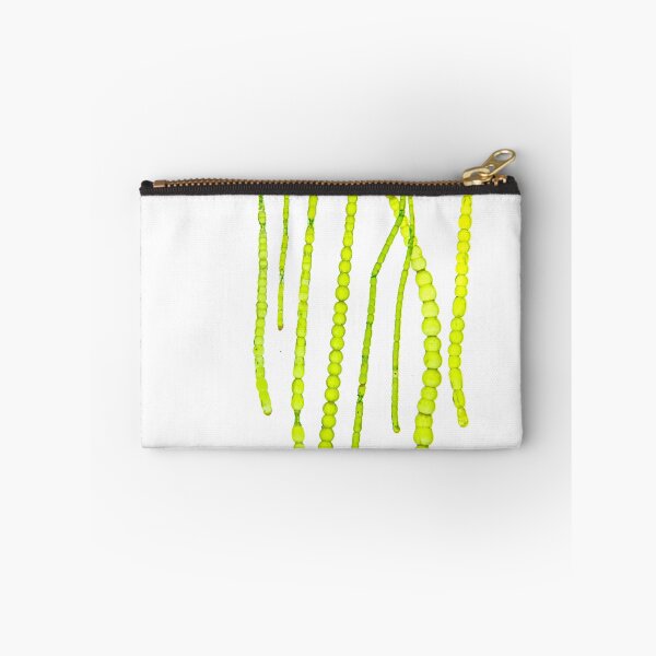 Item preview, Seaweed#10 designed and sold by dPhoto9.