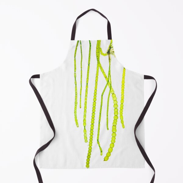 Item preview, Seaweed#10 designed and sold by dPhoto9.