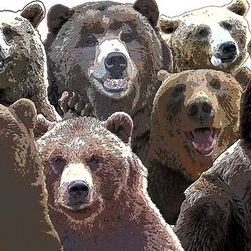 Artwork thumbnail, Bear Pack by designbywhacky