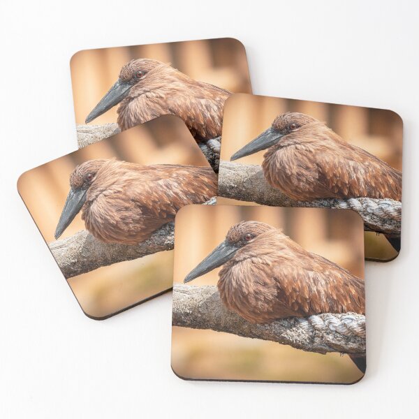 Item preview, Hamerkop designed and sold by JarbasVisuals.