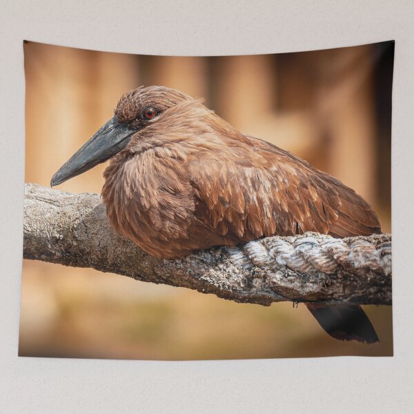 Item preview, Hamerkop designed and sold by JarbasVisuals.