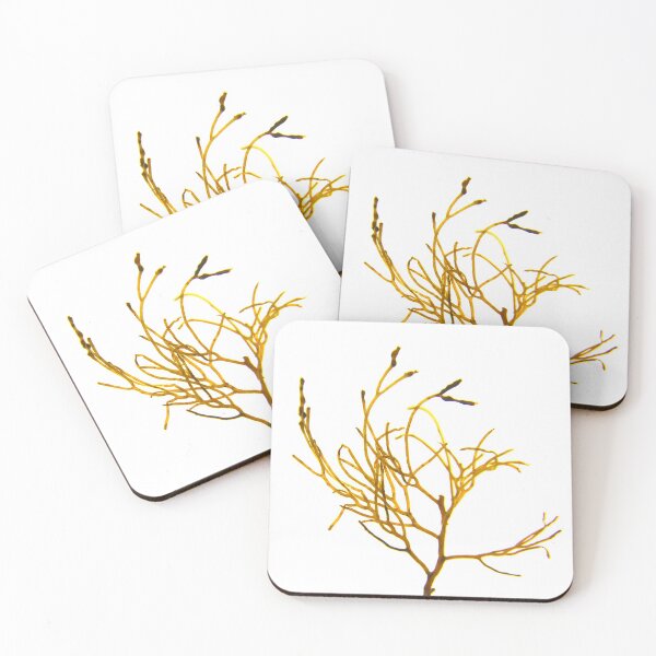 Item preview, Seaweed#11 designed and sold by dPhoto9.