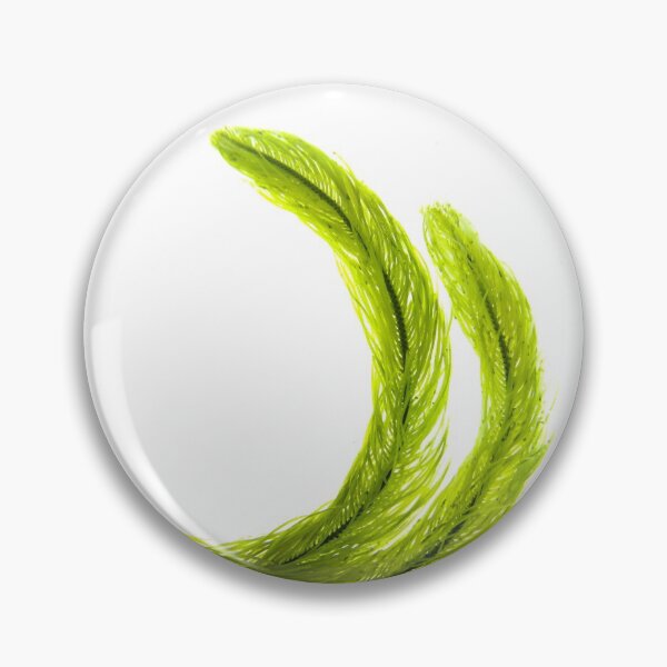 Item preview, Seaweed#12 designed and sold by dPhoto9.