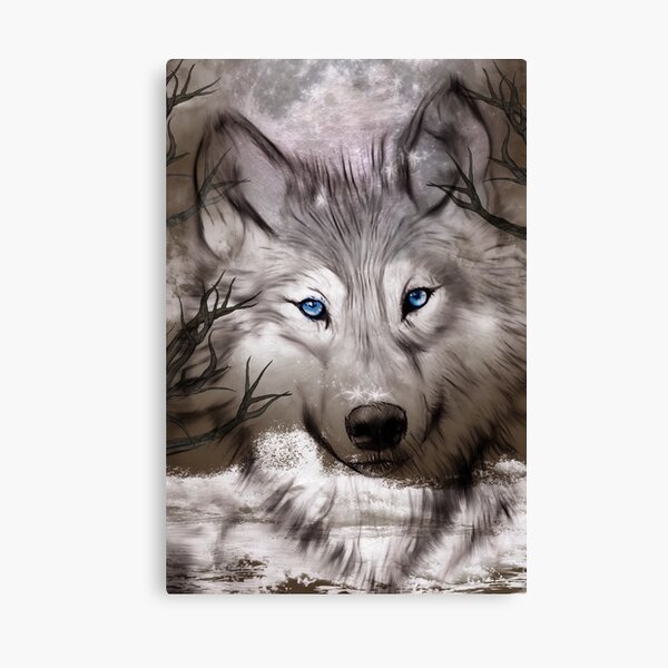 Impression Sur Toile Loup Gris Blanc Aux Yeux Bleus Par Syanart Redbubble