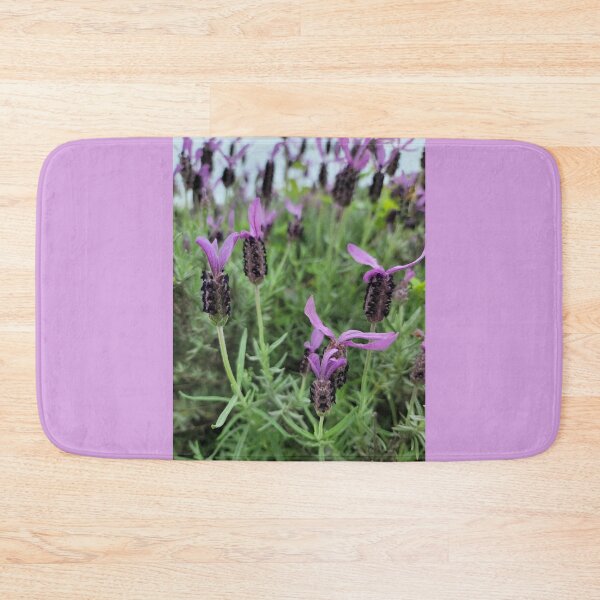 Item preview, Lavender flower  blooming in the garden of Hamdeok restaurant, Jeju. korea designed and sold by human8891.