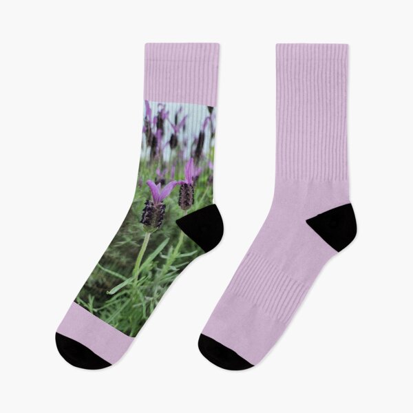 Item preview, Lavender flower  blooming in the garden of Hamdeok restaurant, Jeju. korea designed and sold by human8891.