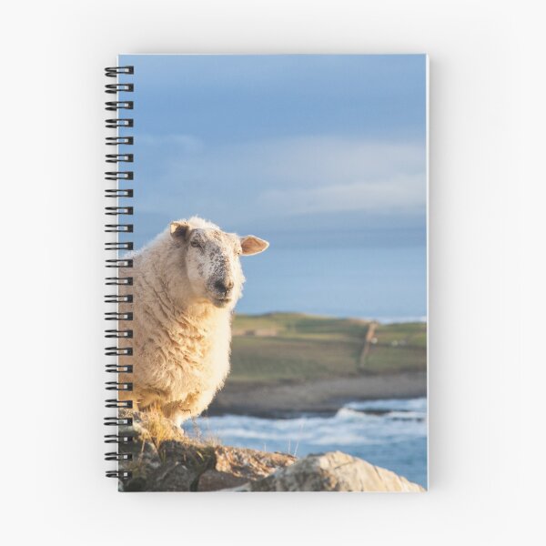 Item preview, Donegal Sheep designed and sold by Marie Carr.