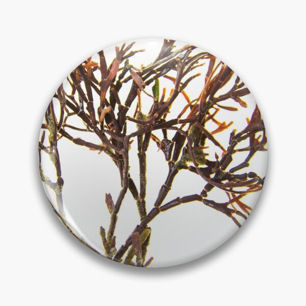 Item preview, Seaweed#3 designed and sold by dPhoto9.