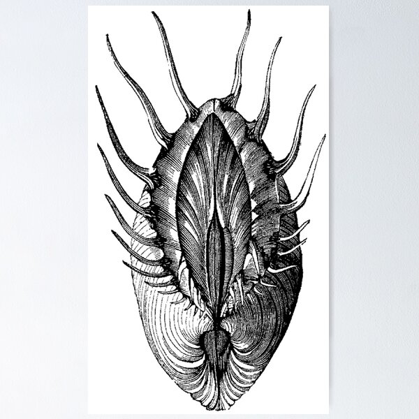 Item preview, Punk Rockfish  designed and sold by Quill-n-Ink.