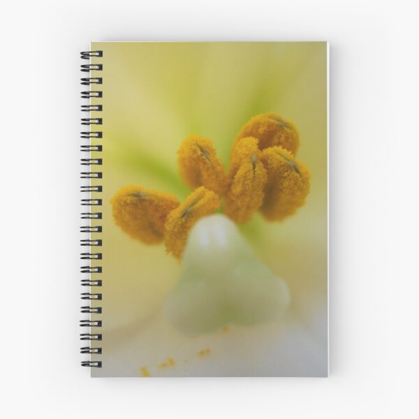 Aperçu de l'œuvre Lily 2 créée et vendue par shalafi.