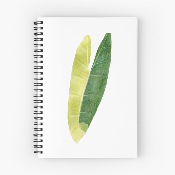 Item preview, Philodendron billietiae variegated designed and sold by fangkwl.