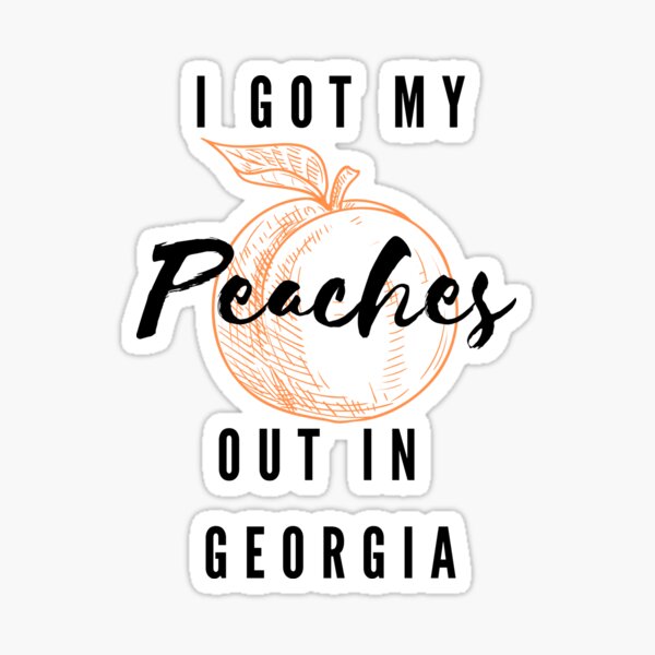 TOBGBE Peaches Lyrics Gift Music Lover Gift Peaches Song Gift Singer Fans  Gift Song Lyrics Makeup Bag (my peaches), Off white, My Peaches :  : Beauty & Personal Care