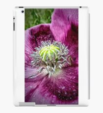 Insect on Flower iPad Case/Skin
