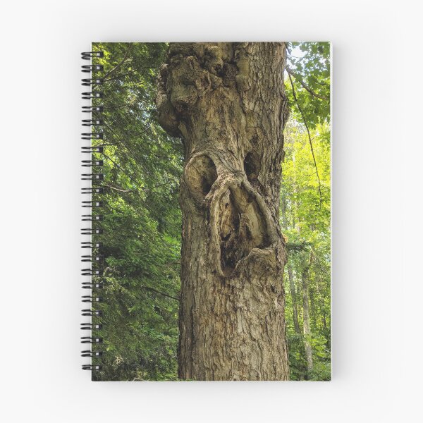 Item preview, The Old Tree designed and sold by Jkund19.
