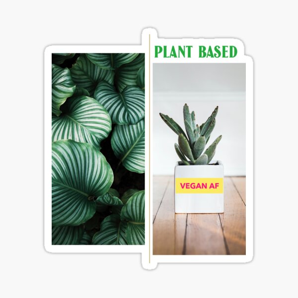"PLANT BASED" Sticker by MiriamaArtwork Redbubble
