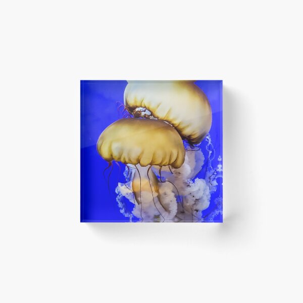 Item preview, Jelly Fish designed and sold by Jim Stiles.
