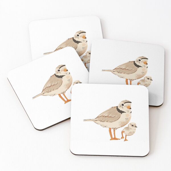 Item preview, Piping plover (no background) designed and sold by Benjamin  Schurter.