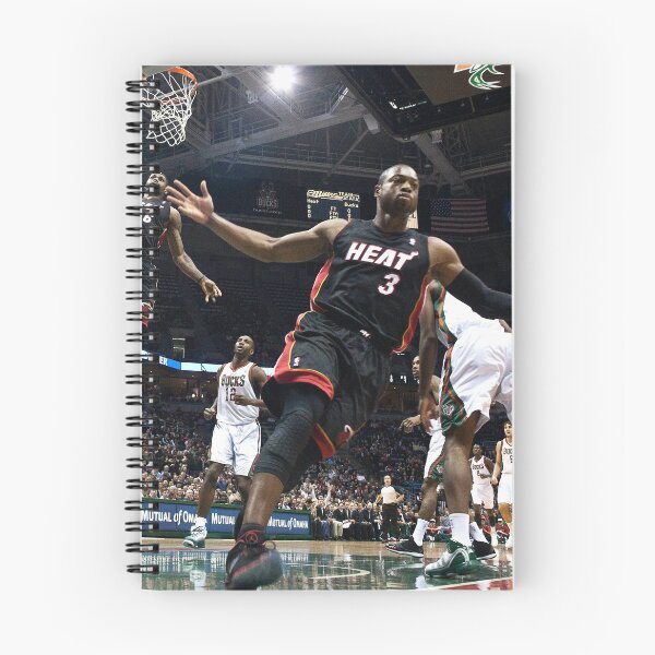 Item preview, LeBron James Dwyane Wade Iconic Dunk designed and sold by NBA Store Decor.