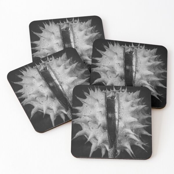 Item preview, Wonderful nature in monochrome designed and sold by Dawn Roberts-Blake.
