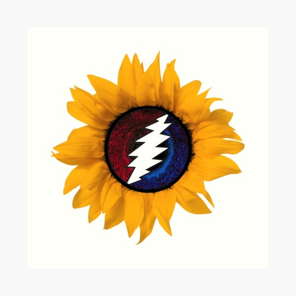 china cat sunflower poster china cat sunflower poster