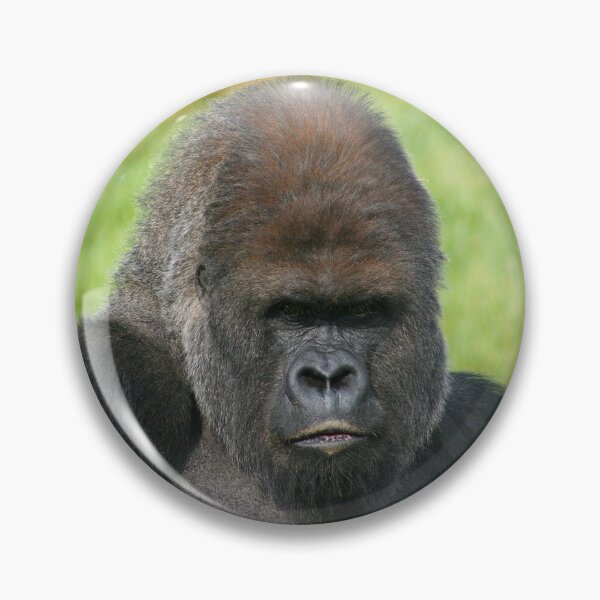 Item preview, Gorilla Gaze designed and sold by Fearless-Fox.