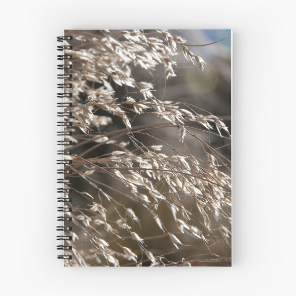 Item preview, Nature Bokeh designed and sold by phil decocco.