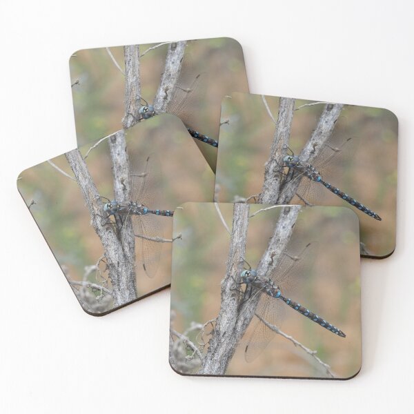 Item preview, Darner dragonfly - most likely Rhionaeschna californica - California Darner designed and sold by SDym Photography.