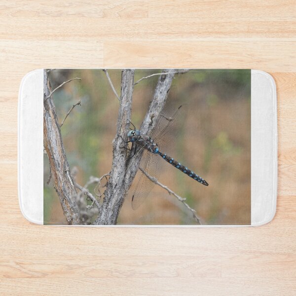 Item preview, Darner dragonfly - most likely Rhionaeschna californica - California Darner designed and sold by SDym Photography.