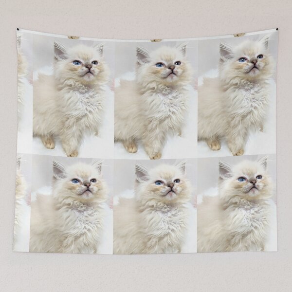 Item preview, Lynx ragdoll kitten Saoirse designed and sold by Fluffycat2020.