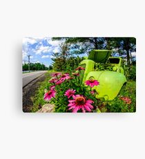 Green Metal Pasture Canvas Print
