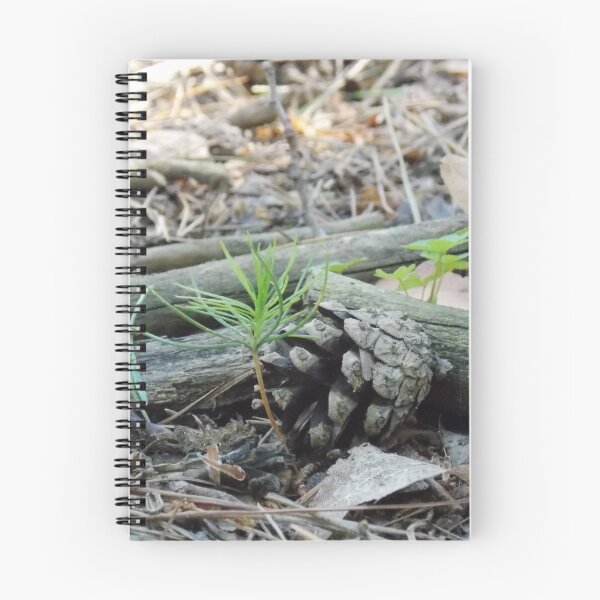 Item preview, Tiny Sapling and Cone designed and sold by Jamie Pauline.