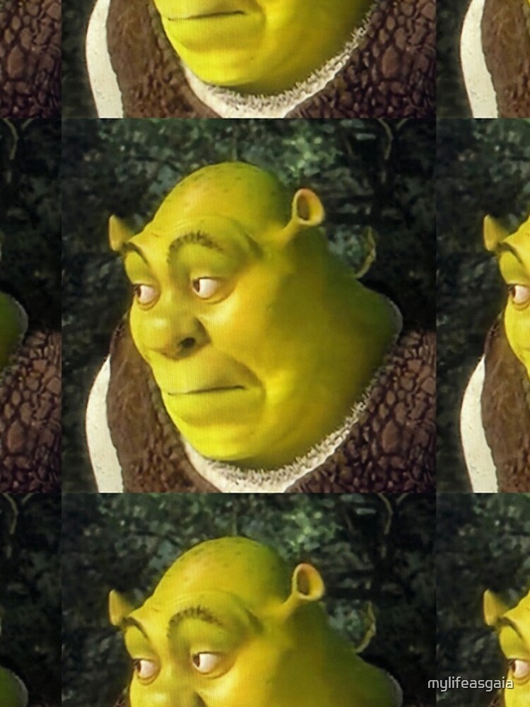 Shrek Face Meme Photographic Print for Sale by mylifeasgaia